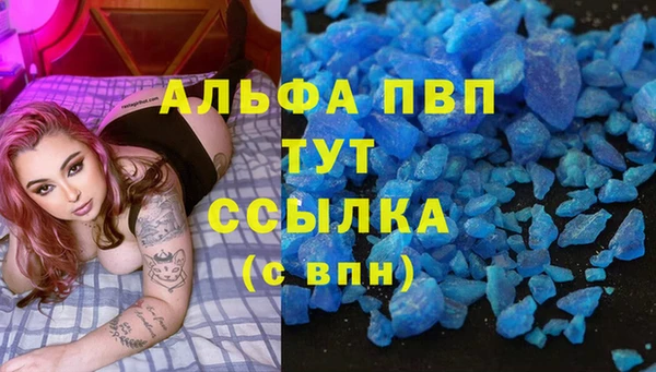 стаф Богородск