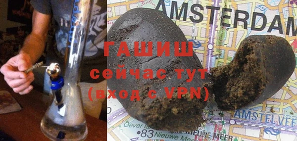 стаф Богородск