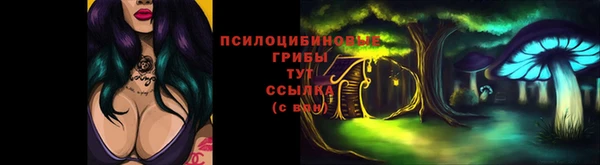 а пвп мука Бородино