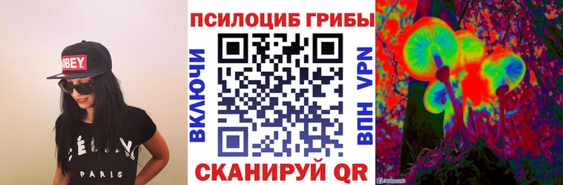 Купить где  Сенгилей  Псилоцибиновые грибы ЛСД 